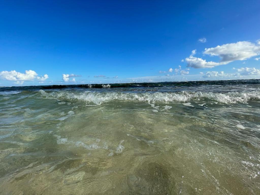 Appartement La Perle, T2 Les Pieds Dans L'Eau A 50M De La Mer 圣弗朗索瓦 外观 照片